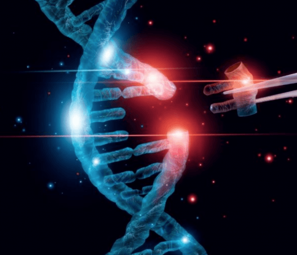 Methylation Gene MTHFR Basic