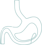 Gut and digestion Icon (1)