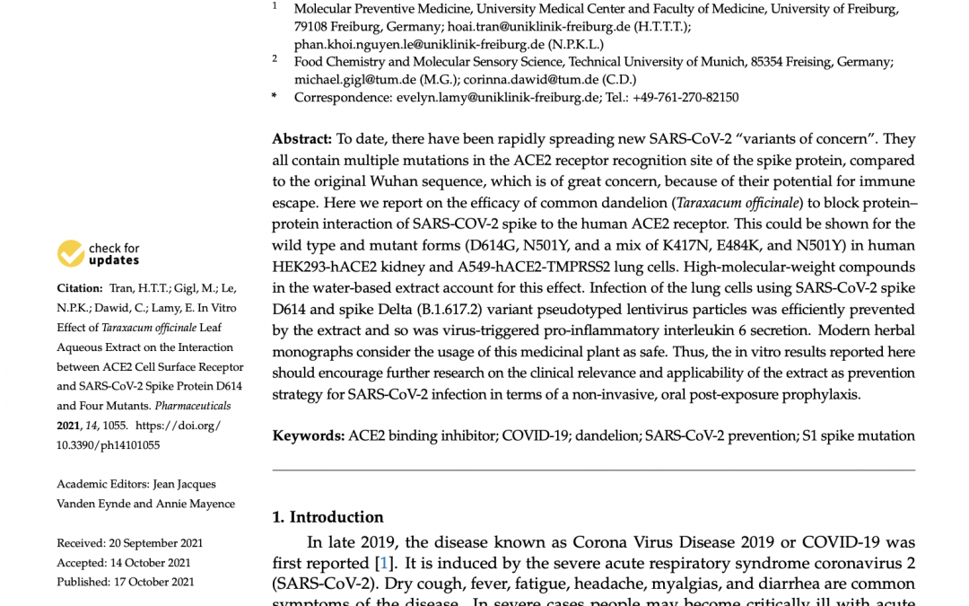 Published scientific research about Effect of Dandelion Taraxacum officinale Leaf Extract on the Spike Protein