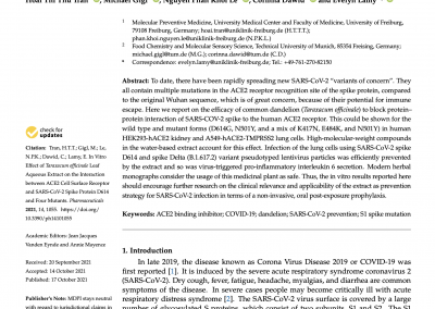 Published scientific research about Effect of Dandelion Taraxacum officinale Leaf Extract on the Spike Protein