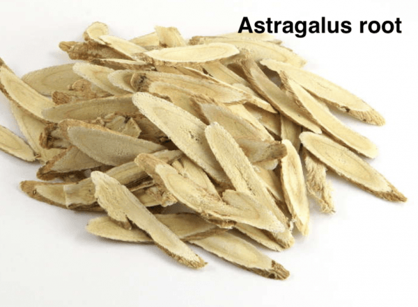 Astragalus root