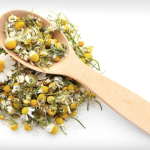 Chamomile