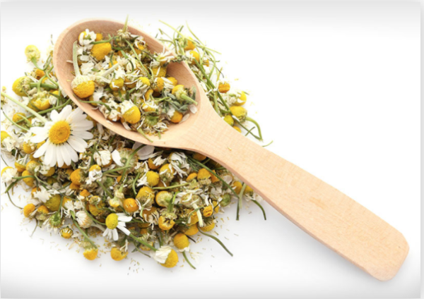 Chamomile