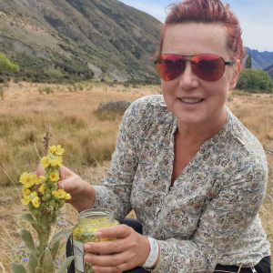 Elena Turner collecting Mullein (Verbascum thapsus) for Respiratory & Expectorant Tea blend in pristine environment fo New Zealand