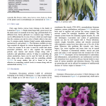 third page of Aromatherapy - a systematic literature review 2015