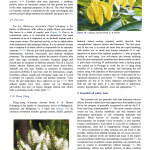 6th page of Aromatherapy - a systematic literature review 2015